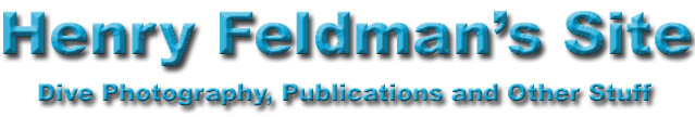 Henry Feldman's Site